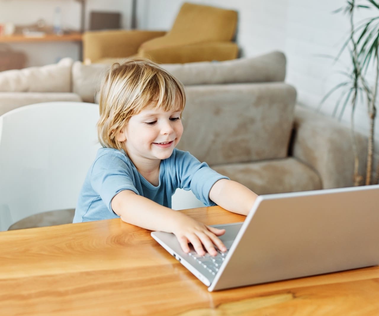 child laptop computer technology home boy son man education homework kid learning internet childhood student sitting connection using online